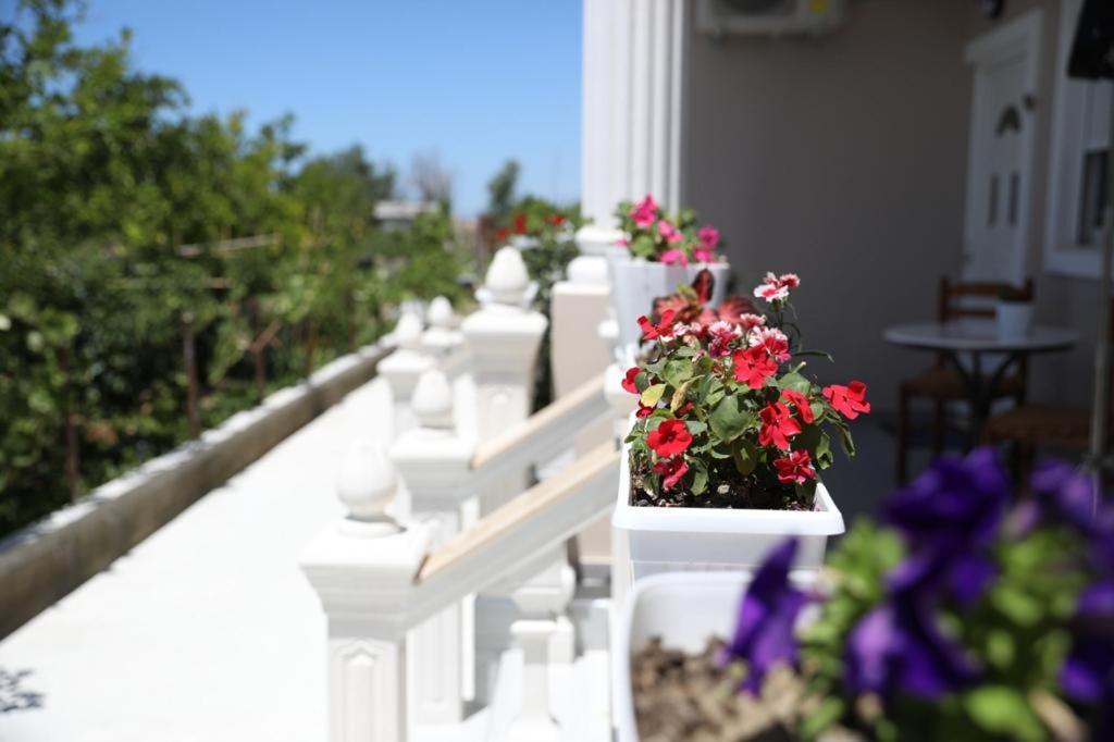 Guest House Narta Vlore Exterior photo